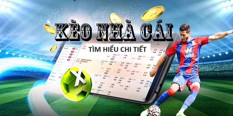Kèo Bóng Đá C1 Đêm Nay Champions League UEFA Tỷ Lệ Chính Xác
